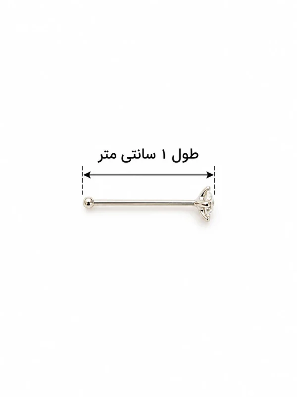 پیرسینگ میخی بینی استیل مراقبتی - تصویر 6