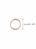 پیرسینگ حلقه‌ای بینی نقره نگین‌دار - تصویر 4